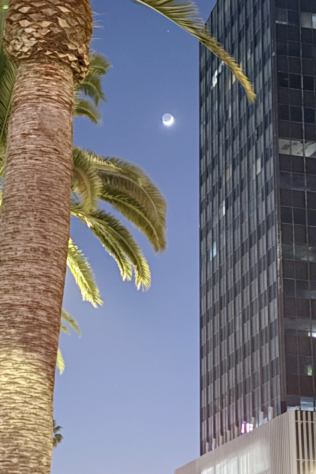 IMG_1734 curve&crop.jpg