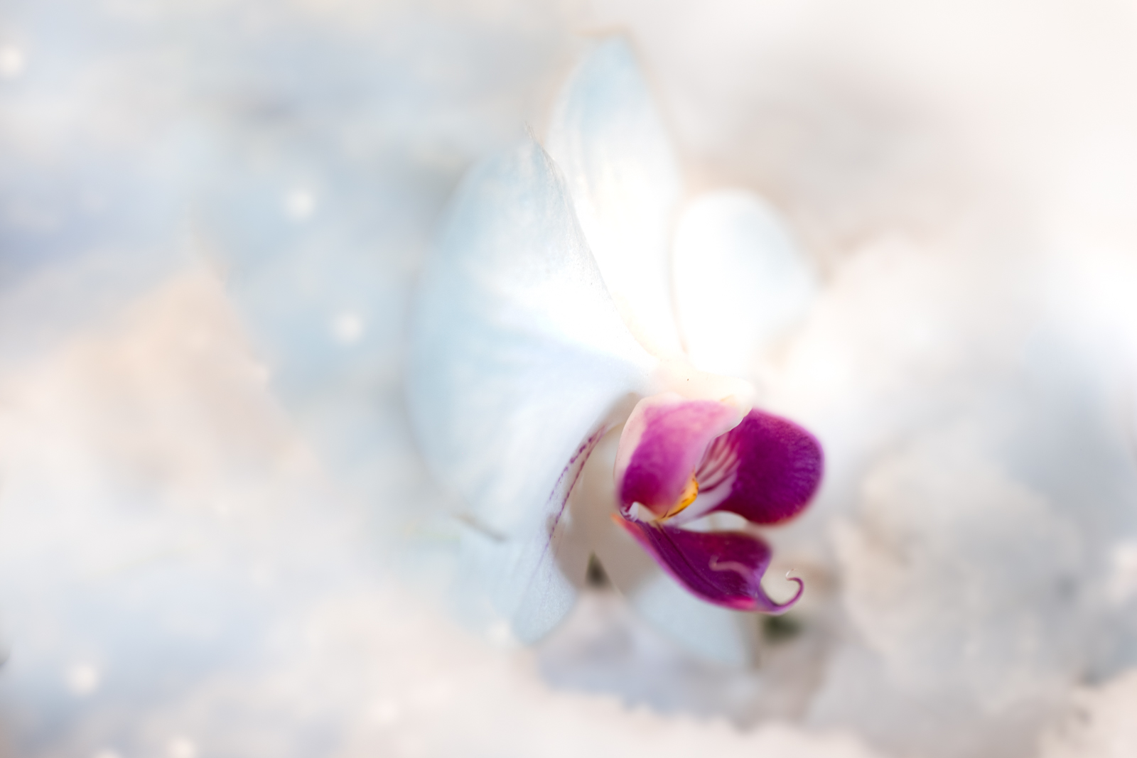 DSC03402-Edit-Edit.jpg