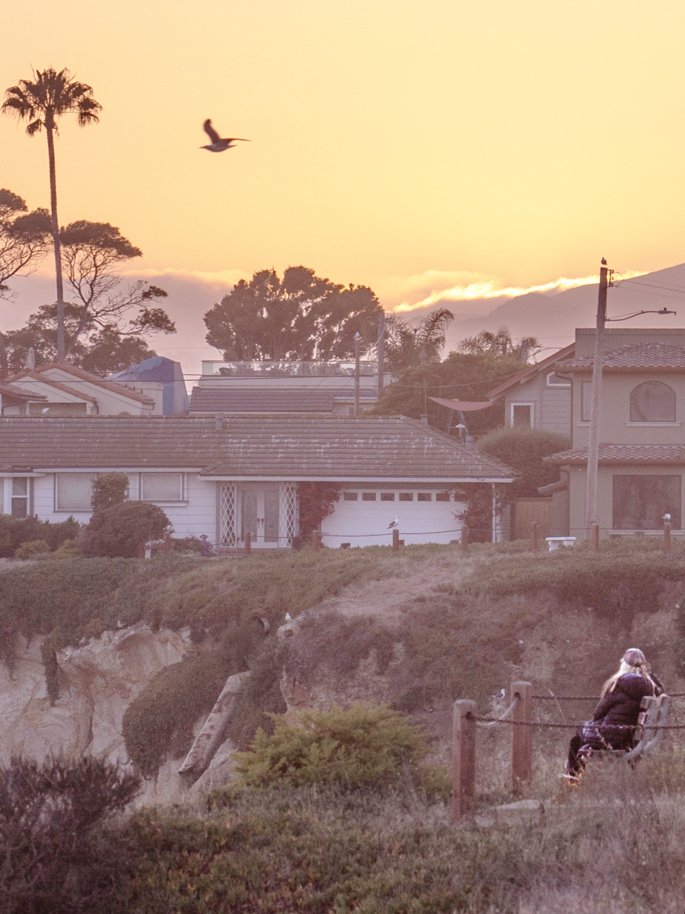 2020_0713 13203355_1 curve, red, el matador.jpg