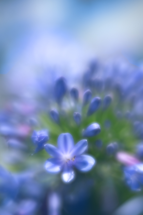 DSC02384-Edit.jpg