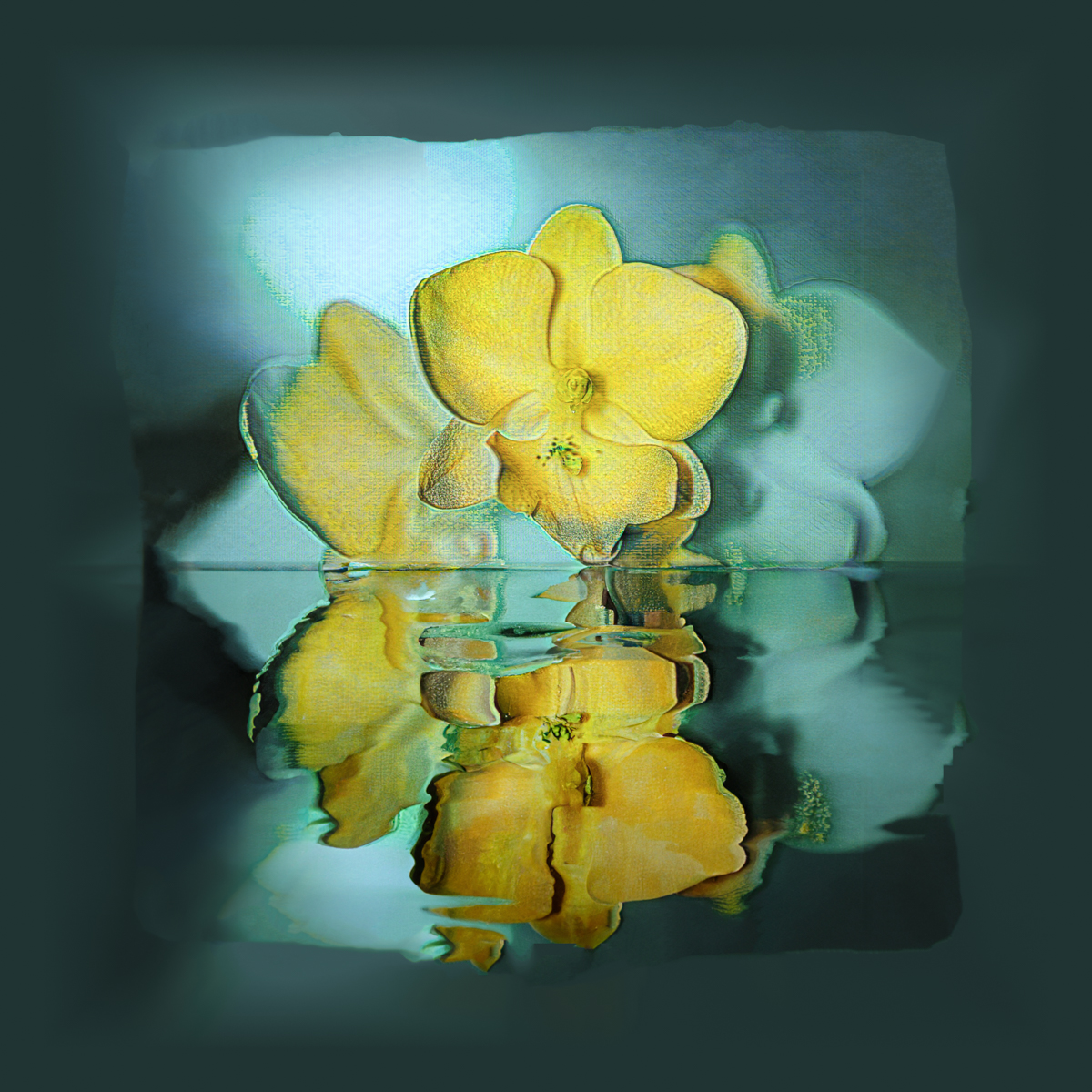 DSC03170-Edit2-Refledtion.jpg