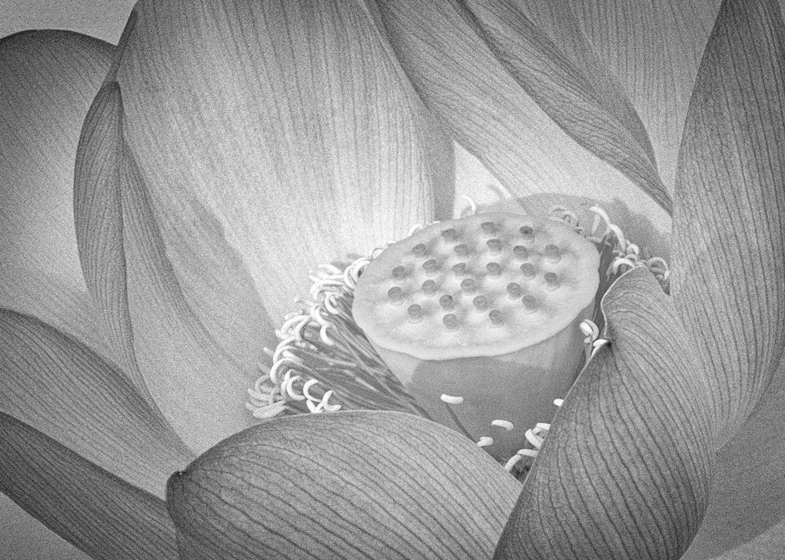 DSC06179-Edit1-Edit.jpg