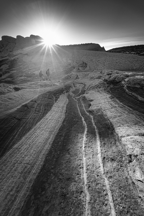 DSC02014-Edit.jpg