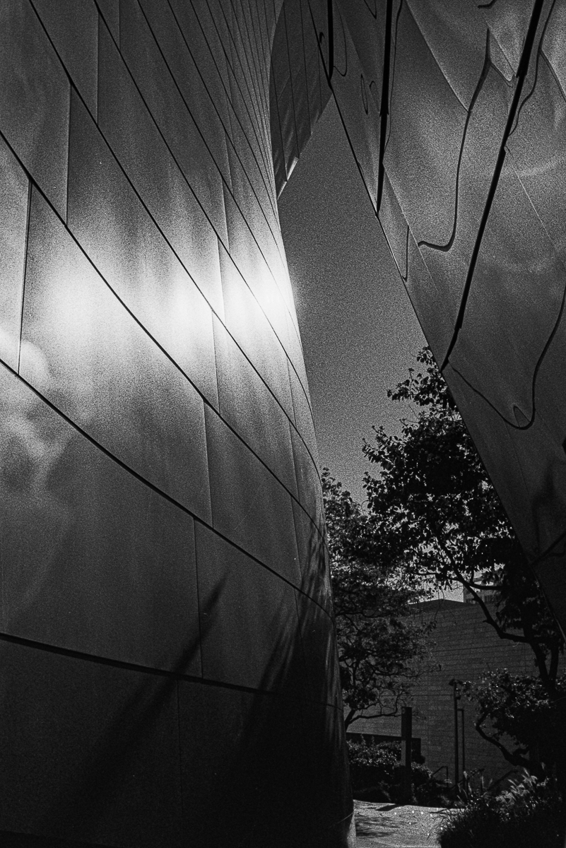 LDS_0465-편집-1.jpg