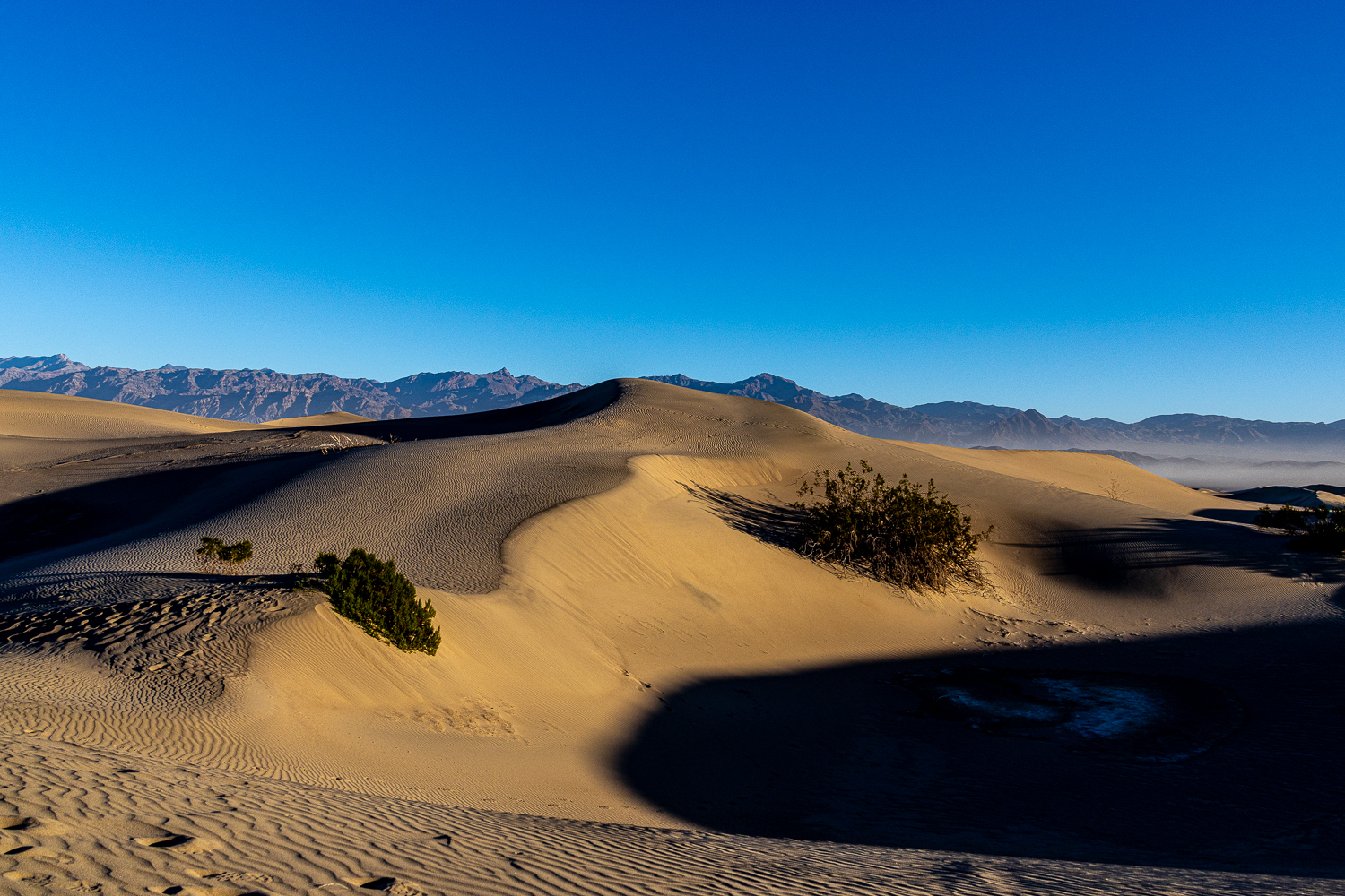 EOS R5m2_037549.jpg
