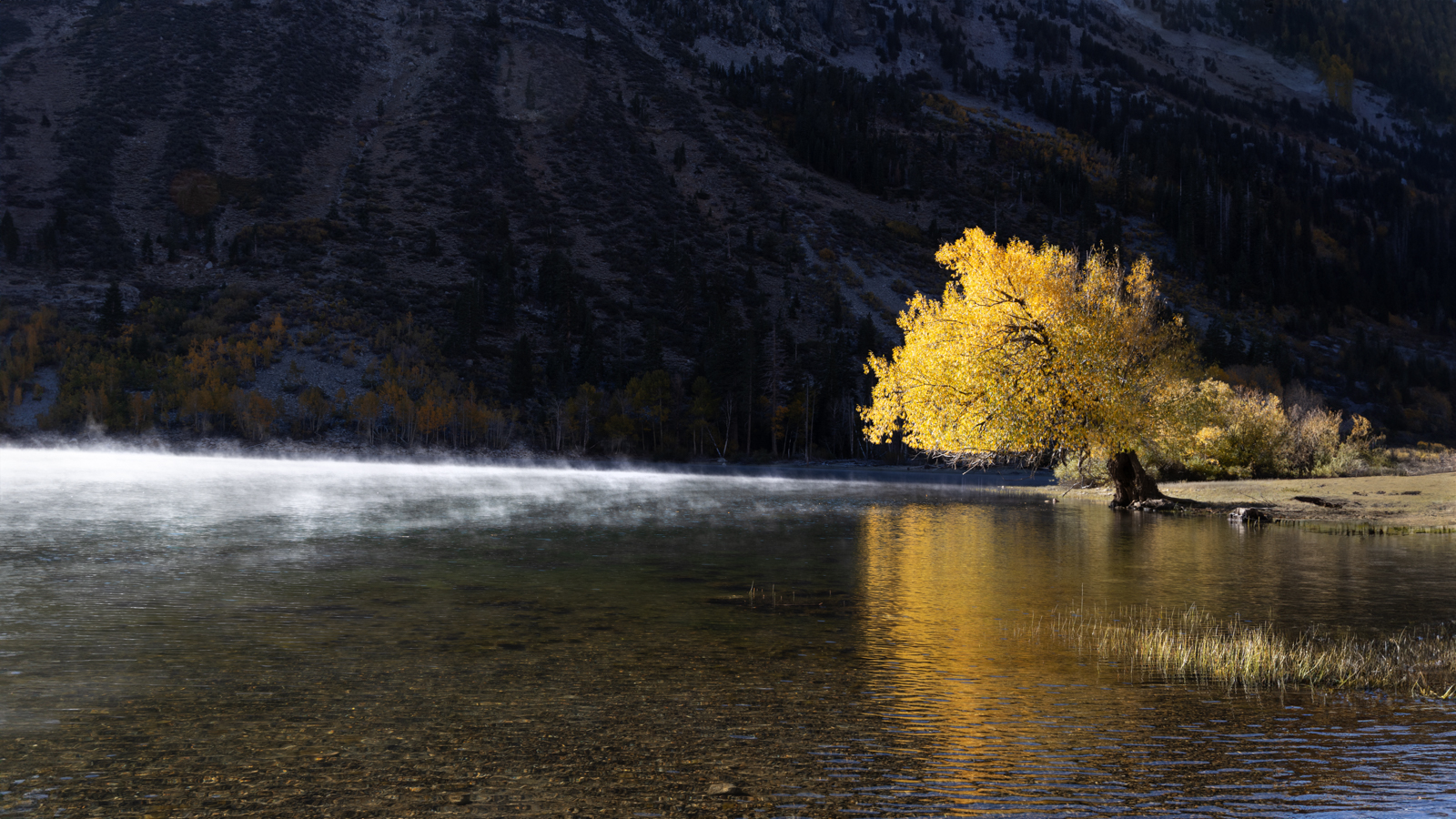 6O5A1814-Edit-Edit.jpg