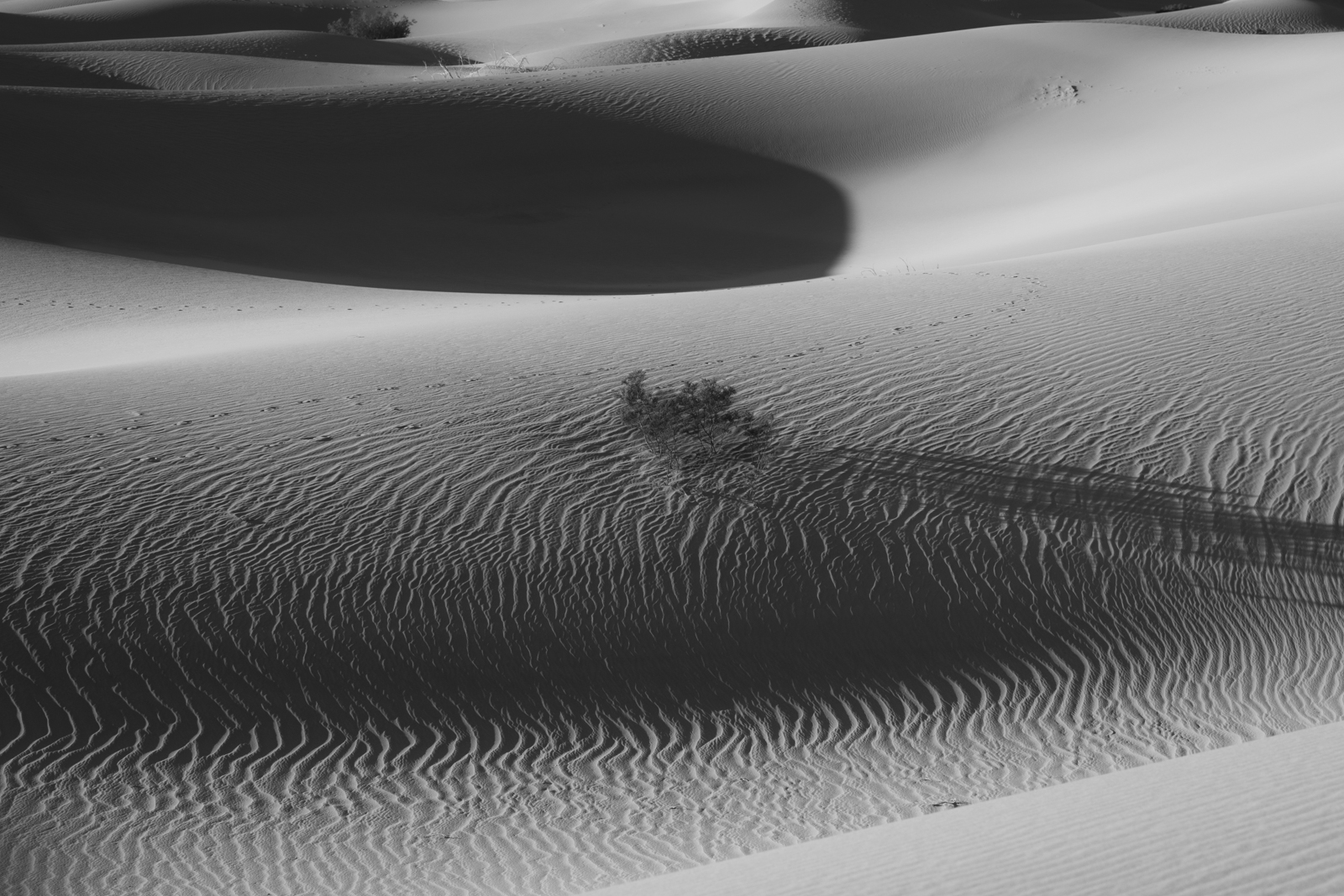 AU0A2852x1600-6.jpg