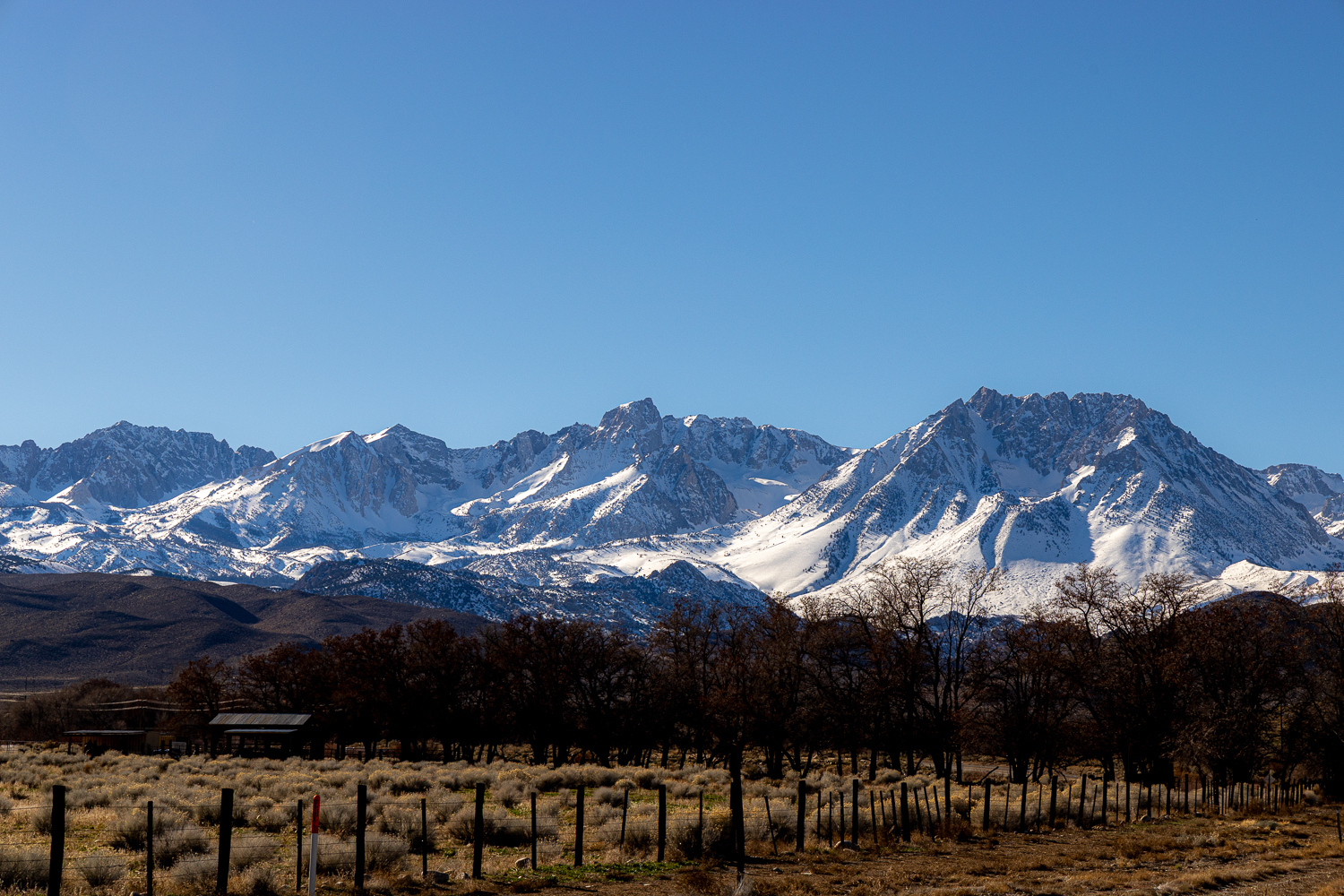 EOS R5m2_037170.jpg