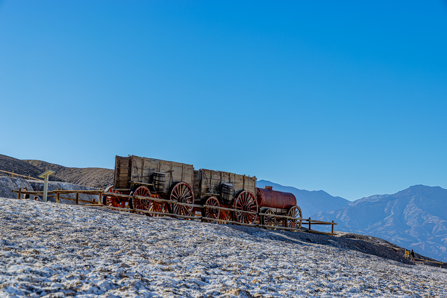 EOS R5m2_037292.jpg