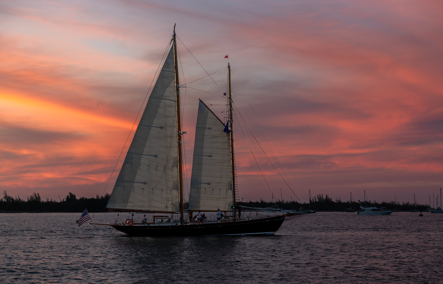 EOS R5m2_041279.jpg