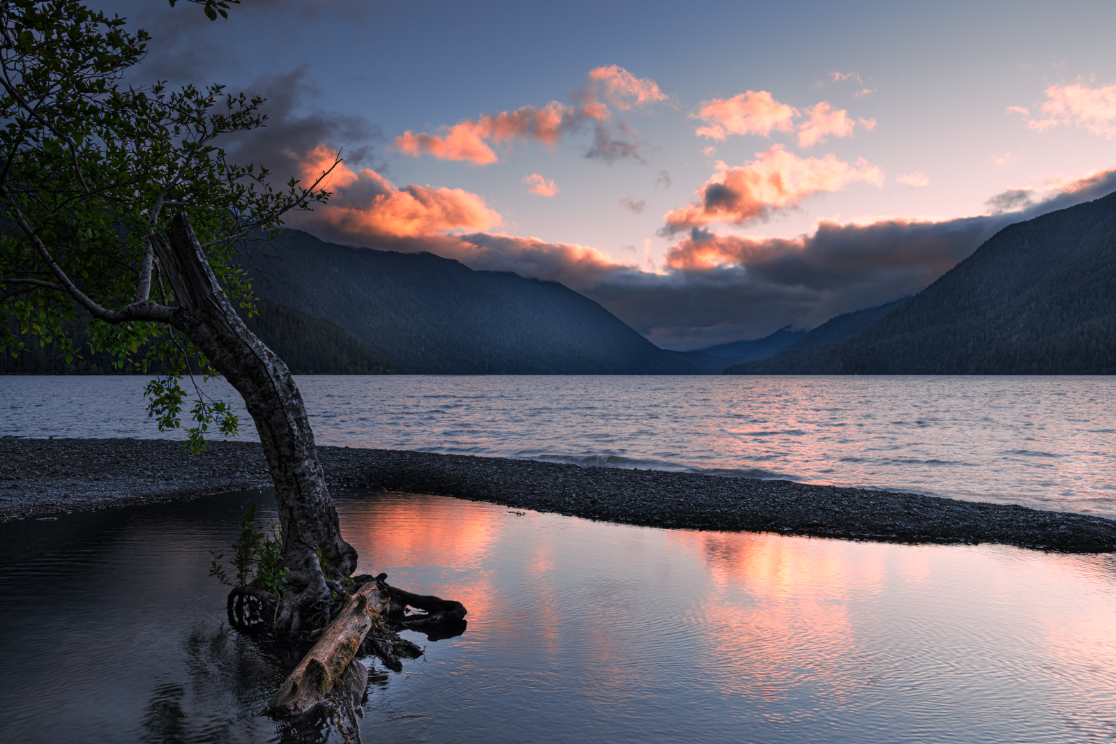 6O5A9926-Edit.jpg