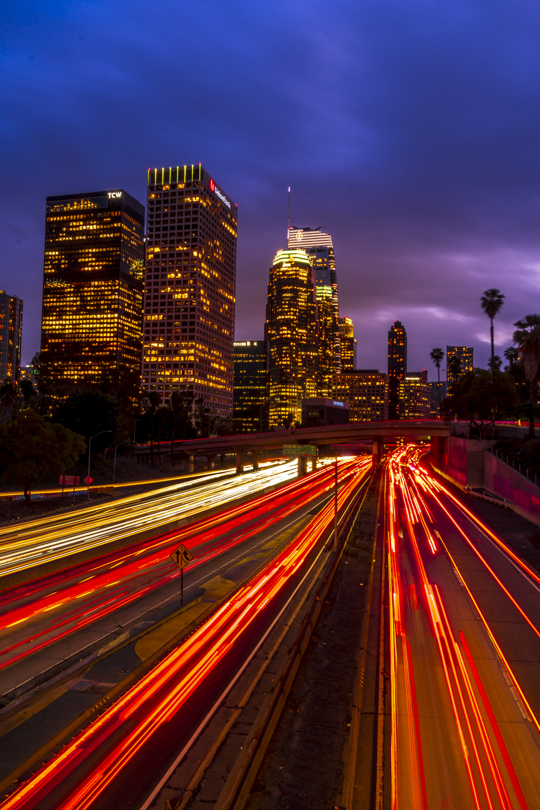 Los Angeles Night.jpg
