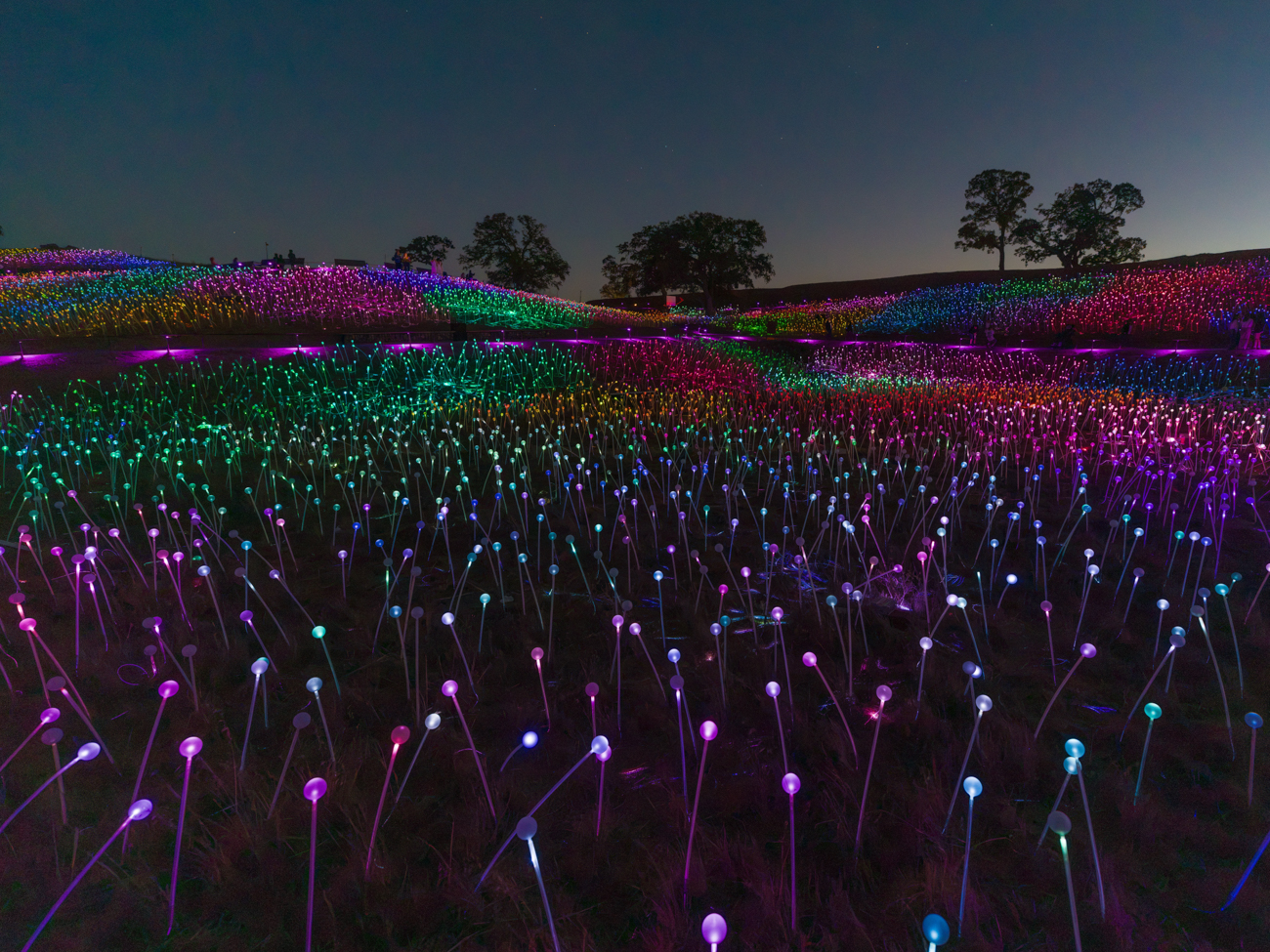 1 Paso Robles Sensorio Field of Light 들판위의 빛의 향연 9-12-2026-3.jpg