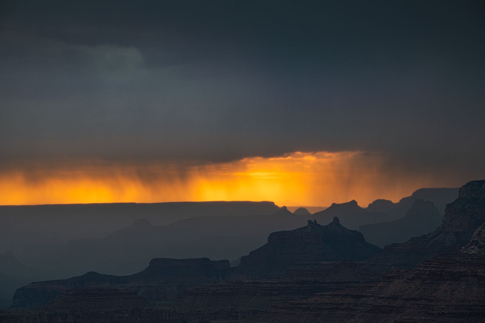 S7502974-Edit.jpg