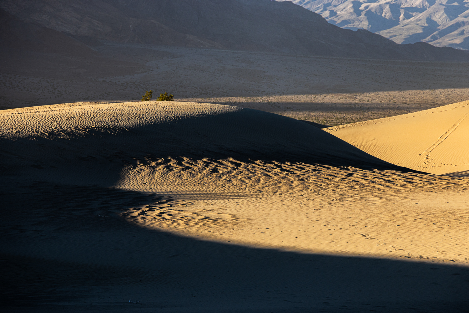 EOS R5m2_037553.jpg