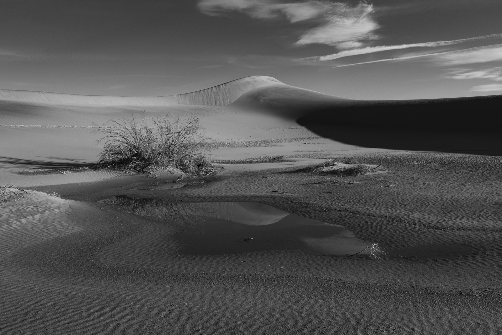 AU0A2916x1600-6.jpg
