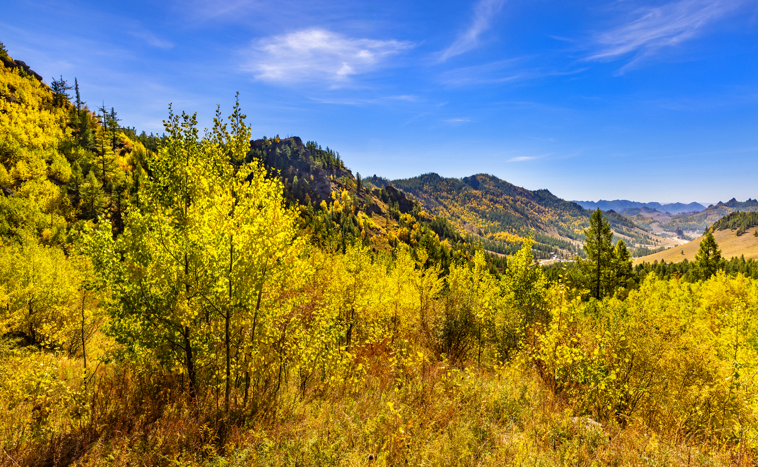 0N5A7559_7_B_1.jpg