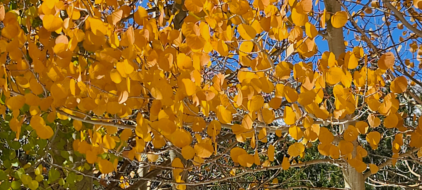 20211009_123100 - Copy.jpg