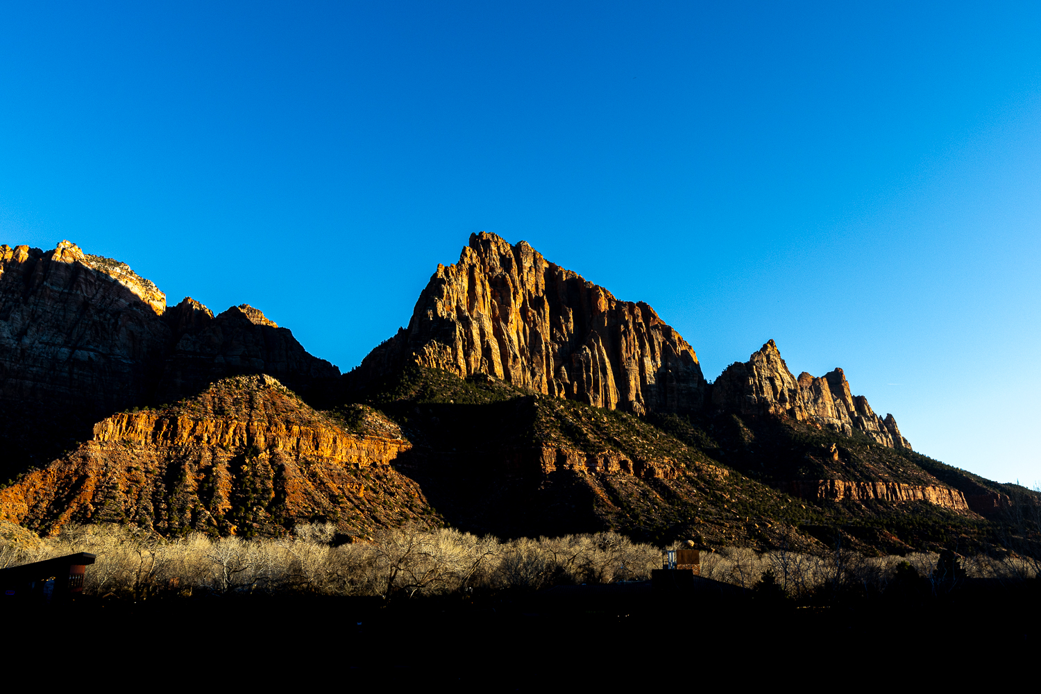 EOS R5m2_037975.jpg