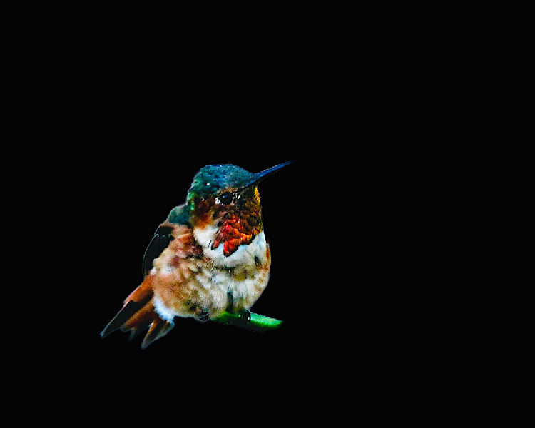 IMG_2026-08-08-201701.jpg