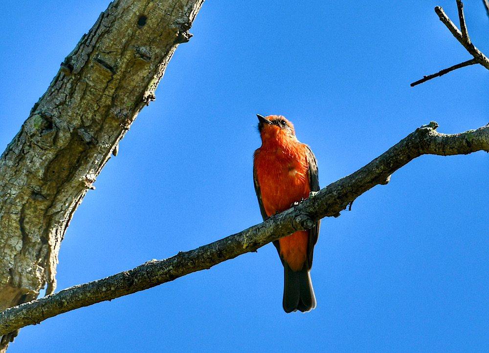 IMG_2025-09-24-103118.jpg