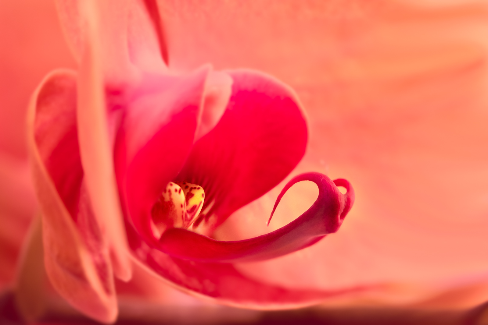 S7504086-Edit.jpg